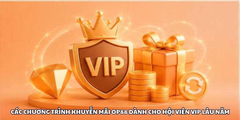 Các chương trình khuyến mãi OP88 dành cho hội viên VIP lâu năm